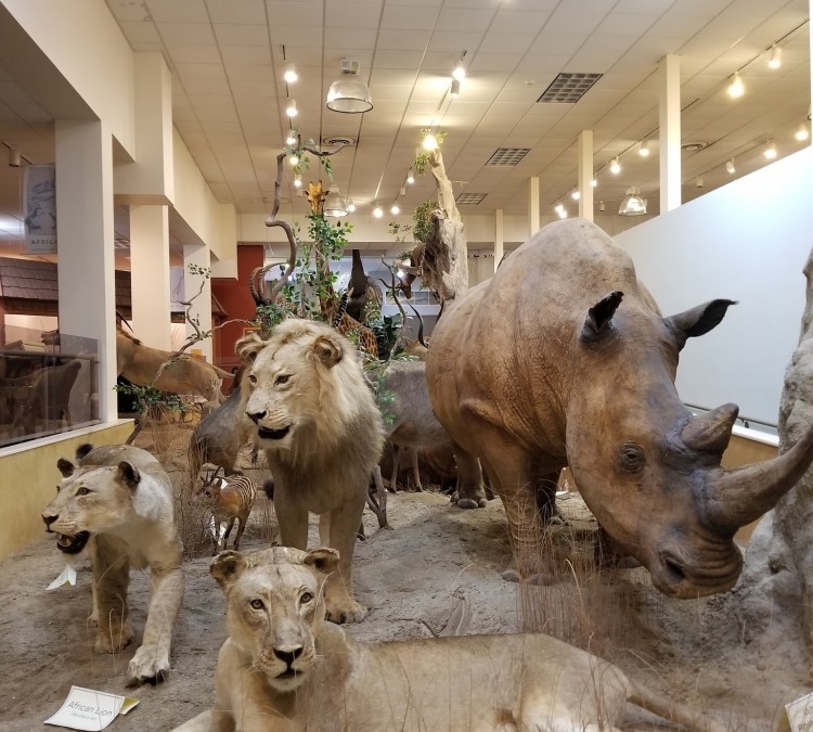 Midwest Museum of Natural History (Sycamore,&nbspIL)